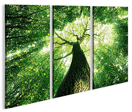 islandburner Bild Bilder auf Leinwand Baumkrone Grün Wald Sonnenstrahlen Bäume 3p XXL Poster Leinwan