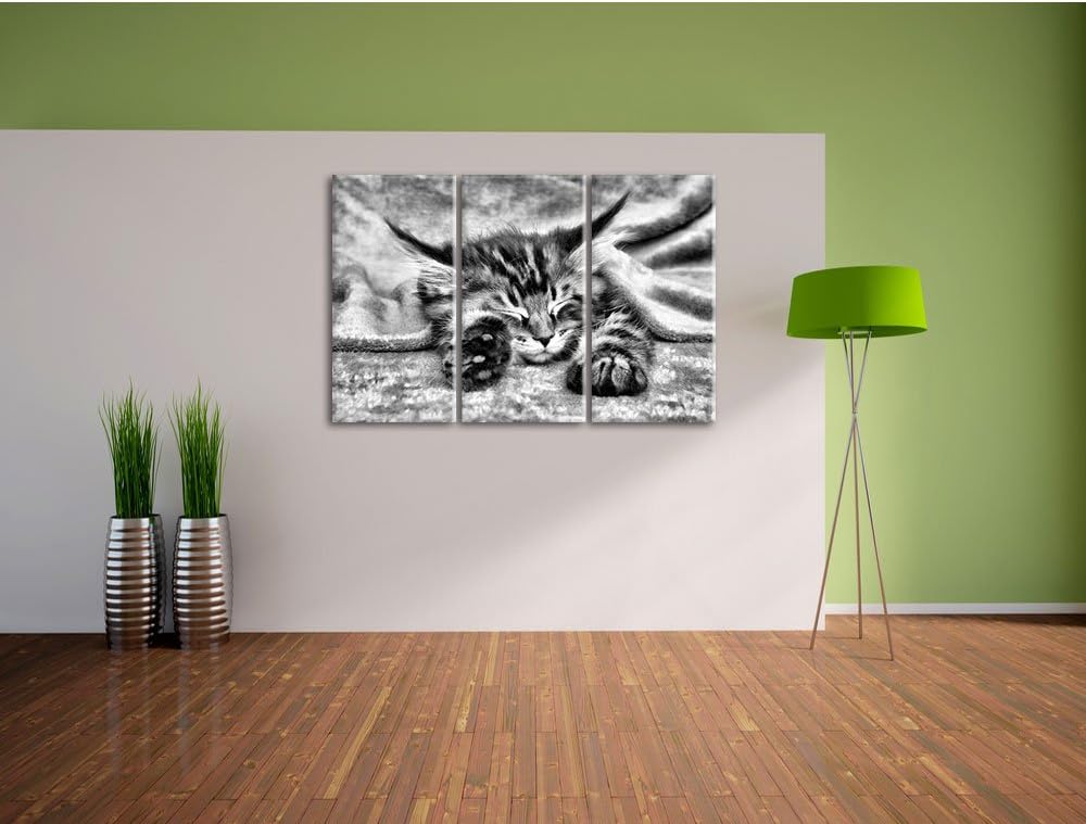 Pixxprint Baby-Katze, rote Bettdecke, als Leinwandbild/Grösse: 3 Teilig (120x80 cm) cm/Wandbild/Kuns