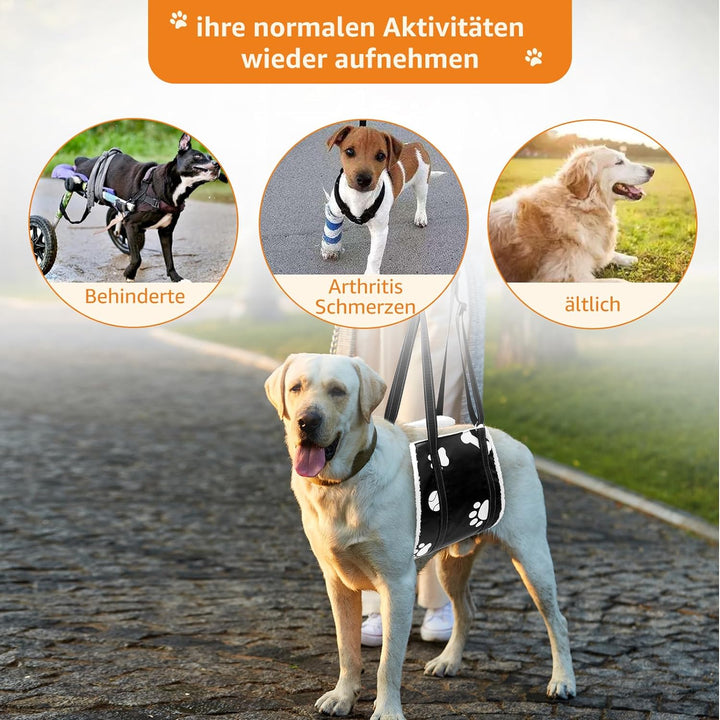 Weiche Hunde Tragehilfe - Verstellbare Gehhilfe für Hunde in verschiedenen Grössen, Sicherheitsunter