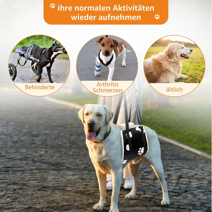 Weiche Hunde Tragehilfe - Verstellbare Gehhilfe für Hunde in verschiedenen Grössen, Sicherheitsunter