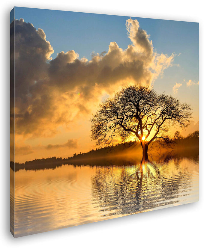 deyoli einsamer Baum im Wasser Format: 70x70 als Leinwandbild, Motiv fertig gerahmt auf Echtholzrahm