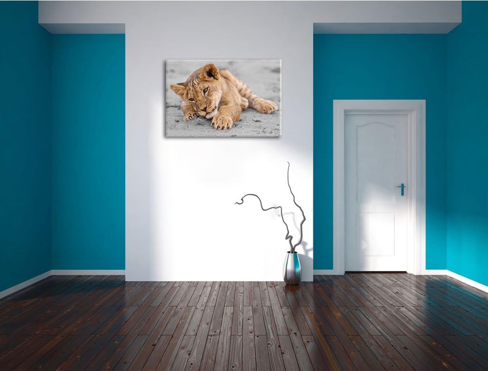süsses Löwenbaby spielt schwarz/weiss Format: 100x70 auf Leinwand, XXL riesige Bilder fertig gerahmt