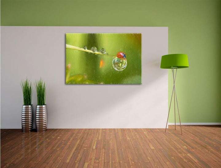 Pixxprint Marienkäfer als Leinwandbild/Grösse: 100x70 / Wandbild/Kunstdruck/fertig bespannt, 100x70