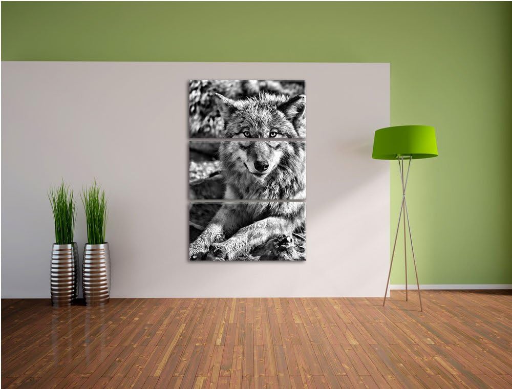 Pixxprint Monocrome, aufschauender Wolf 3-Teiler Leinwandbild 120x80 Bild auf Leinwand