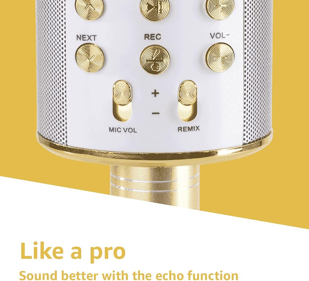 MAX KM01 Bluetooth Karaoke Mikrofon mit Lautsprecher, USB, Micro SD, MP3-Player, Mikro mit Echo, Sti