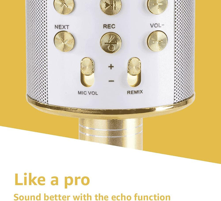 MAX KM01 Bluetooth Karaoke Mikrofon mit Lautsprecher, USB, Micro SD, MP3-Player, Mikro mit Echo, Sti