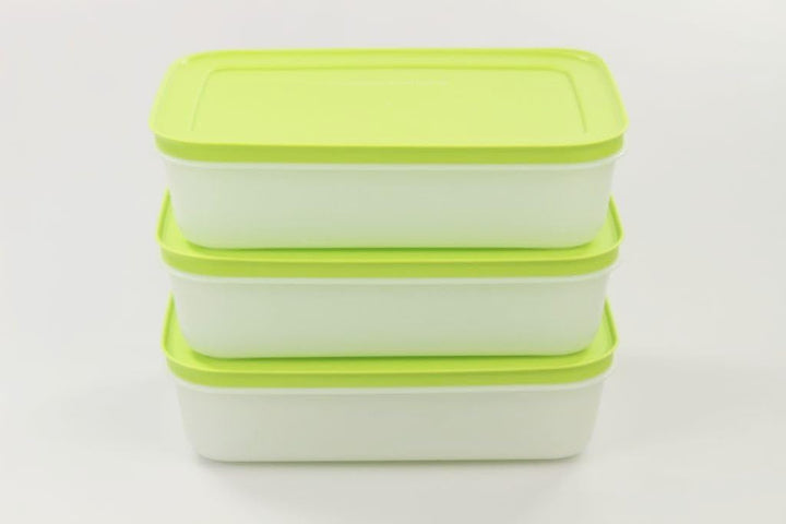 TUPPERWARE Gefrier-Behälter (3) Eis-Kristall Eiskristall 1,0 L grün-weiss flach 29739