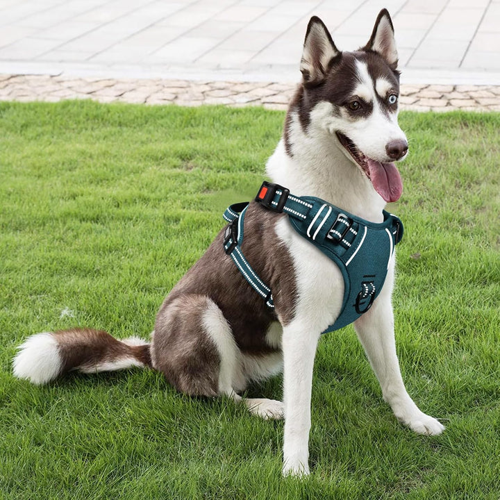 HEELE Hundegeschirr, Brustgeschirre für Hunde, Laufgeschirre Hund mit abschliessbarem Schnappverschl