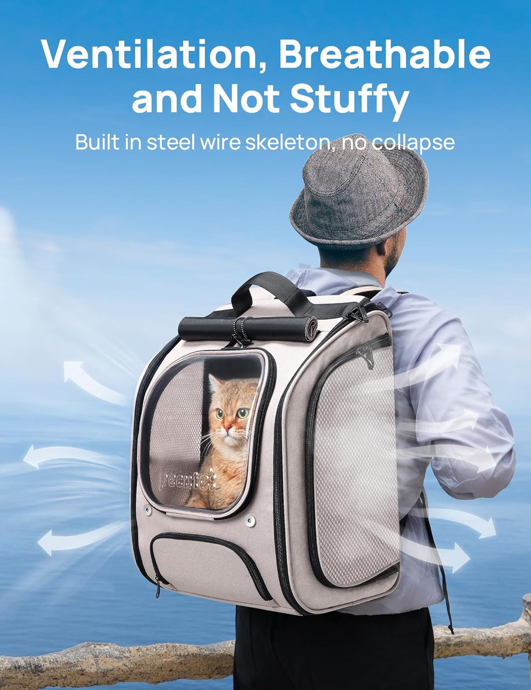 pecute Katzenrucksack Bubble Haustier Rucksack mit Netzfenster, Tragbare und Faltbare Katzentasche,