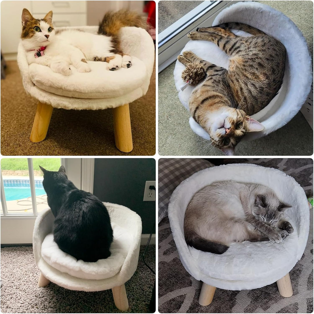 BingoPaw Katzensofa Luxus Katzensofa grosse Katzen katzensessel Katzenhocker erhöhtes Katzenbett mit