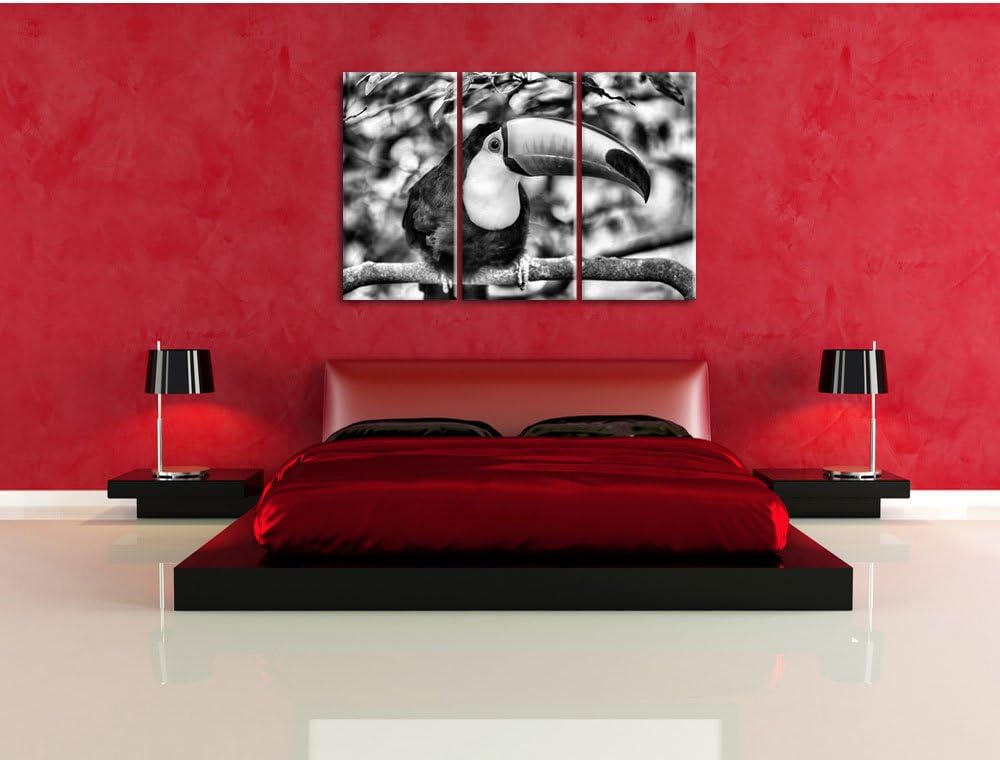 Pixxprint Exotischer Tukan als Leinwandbild | Grösse: 3 Teilig (120x80) | Wandbild| Kunstdruck | fer