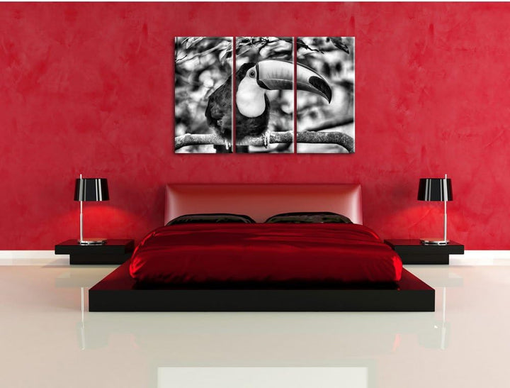 Pixxprint Exotischer Tukan als Leinwandbild | Grösse: 3 Teilig (120x80) | Wandbild| Kunstdruck | fer