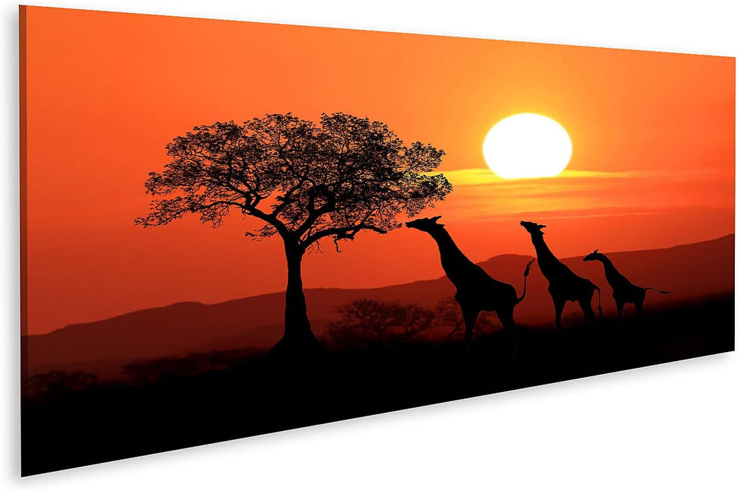 islandburner Bild auf Leinwand Grosse Südafrikanische Giraffen Sonnenuntergang Afrika Bilder Wandbil