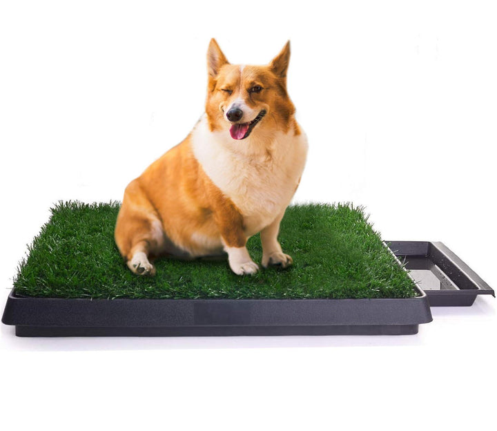 Sailnovo Hundeklo Hunde Toilette Kunstrasen Gras Welpentoilette Trainingsunterlage für Kleine Hunde