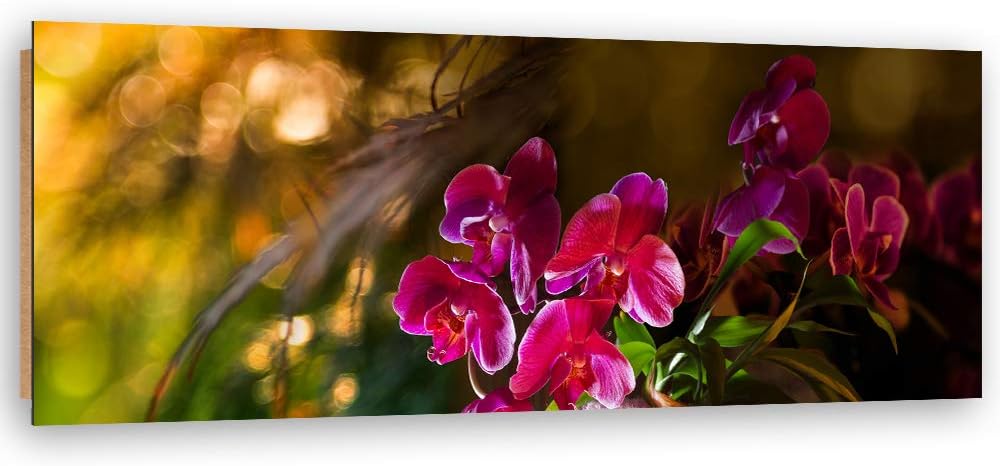 Wandbild XXL Blumen Deko Kunst Bilder für Wohnzimmer Violett 158x53 cm Deko Paneel 158x53 cm Violett