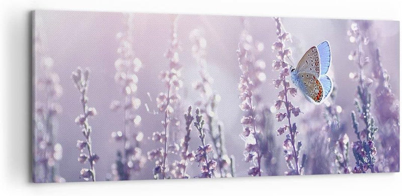 Wandbilder Dekoration Wohnzimmer Schmetterling Wiese Blume Panorama Bilder auf Leinwand 120x50cm Lei