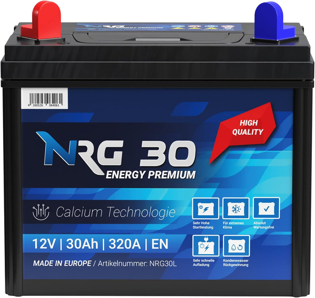 NRG Premium Batterie 30Ah 12V Rasentraktor Aufsitzmäher Plus Pol Links Fleurelle MTD Partner John De