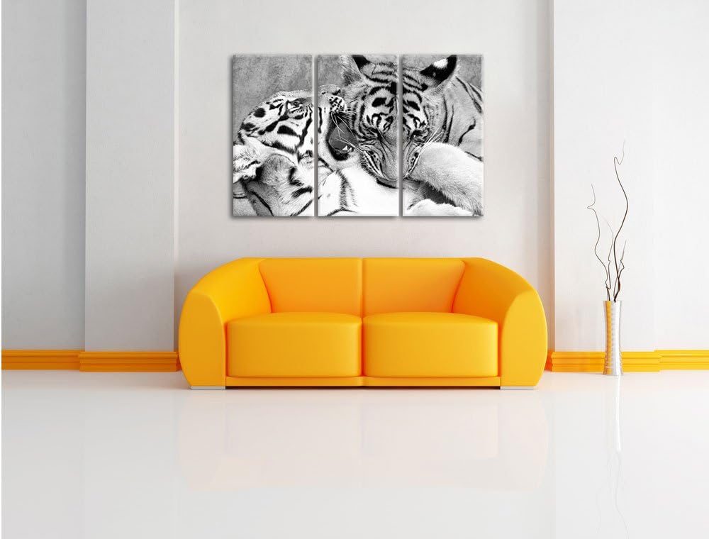 Pixxprint Tiger beim Kämpfen als Leinwandbild/Grösse: 3 Teilig (120x80 cm) cm/Wandbild/Kunstdruck/fe
