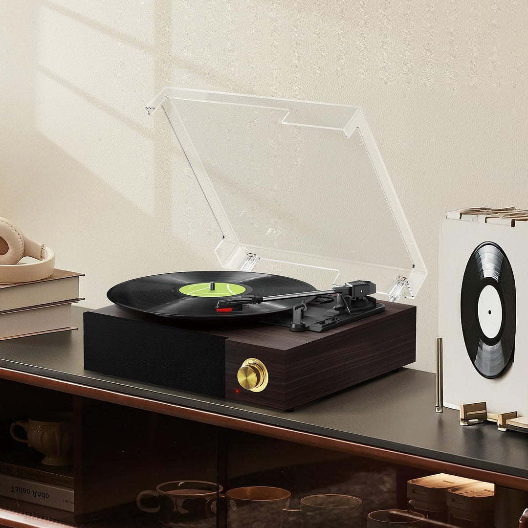 FYDEE Vintage Vinyl Plattenspieler mit integrierten Lautsprechern, Bluetooth 5.4 Vinyl-Player, 3 Ges