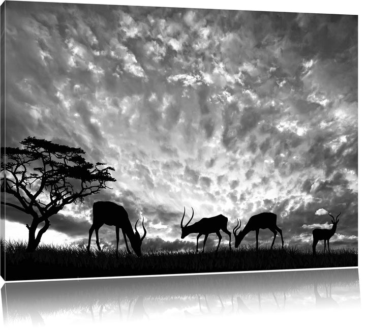 Pixxprint Tiere in der Natur als Leinwandbild/Grösse: 100x70 / Wandbild/Kunstdruck/fertig bespannt,