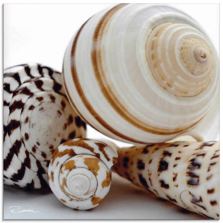 ARTland Glasbilder Wandbild Glas Bild einteilig 40x40 cm Quadratisch Natur Tiere Muscheln Strand Mee