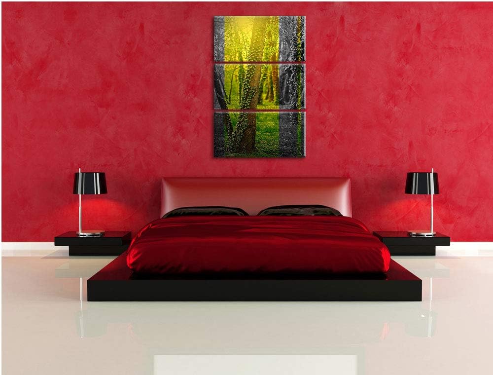 Efeuranken wachsen an Bäumen schwarz/weiss 3-Teiler Leinwandbild 120x80 Bild auf Leinwand, XXL riesi