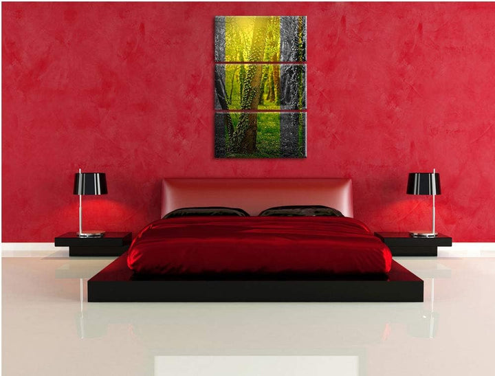 Efeuranken wachsen an Bäumen schwarz/weiss 3-Teiler Leinwandbild 120x80 Bild auf Leinwand, XXL riesi