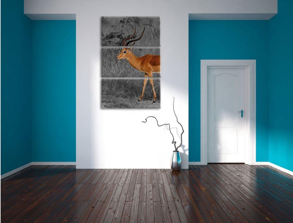 Pixxprint bildschöne Dorkasgazelle in der Savanne schwarz/weiss 3-Teiler Leinwandbild 120x80 Bild au