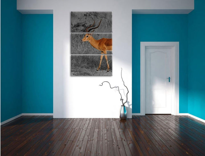 Pixxprint bildschöne Dorkasgazelle in der Savanne schwarz/weiss 3-Teiler Leinwandbild 120x80 Bild au