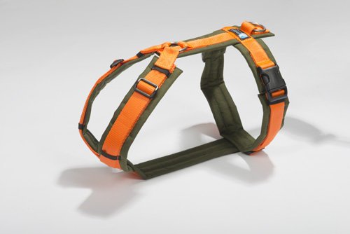 anny-x Brustgeschirr Fun Oliv orange - Gr. S