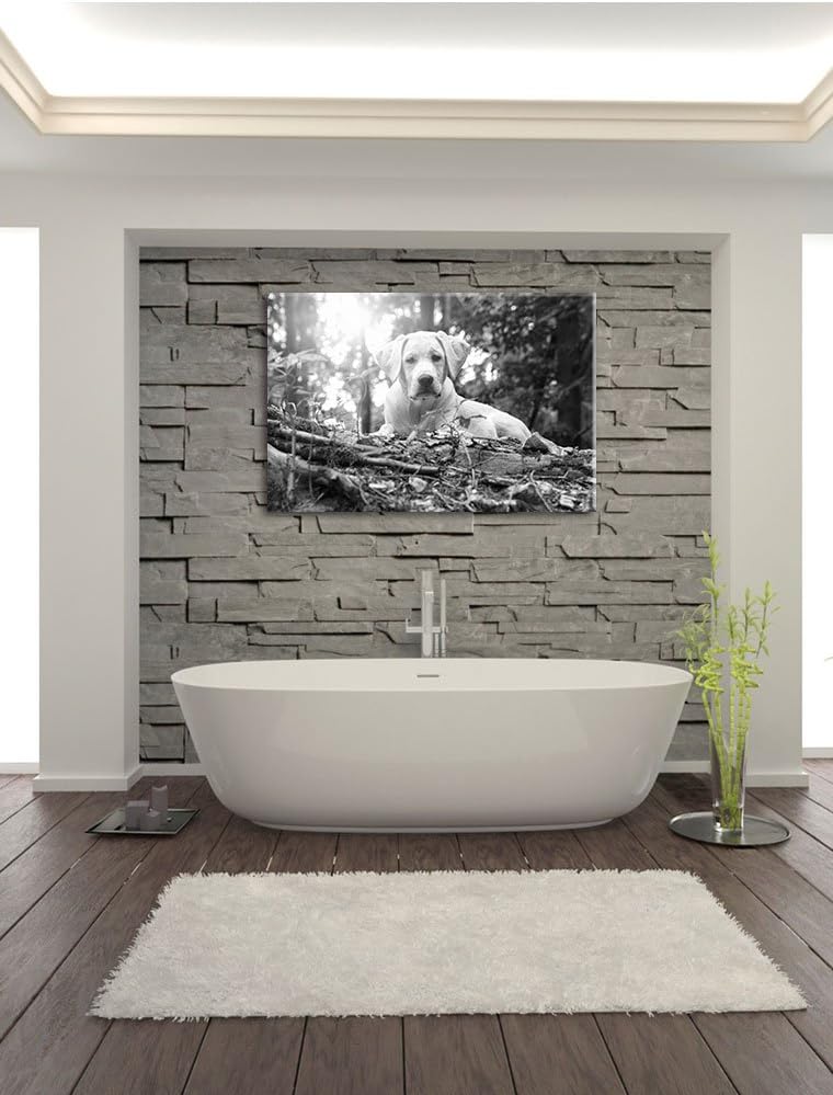 Pixxprint Hund im Wald bei Sonneuntergang / 100x70cm Leinwandbild bespannt auf Holzrahmen/Wandbild K