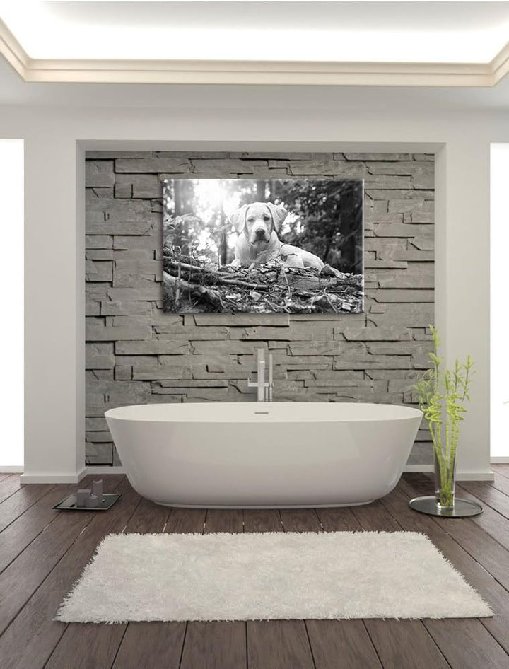 Pixxprint Hund im Wald bei Sonneuntergang / 100x70cm Leinwandbild bespannt auf Holzrahmen/Wandbild K