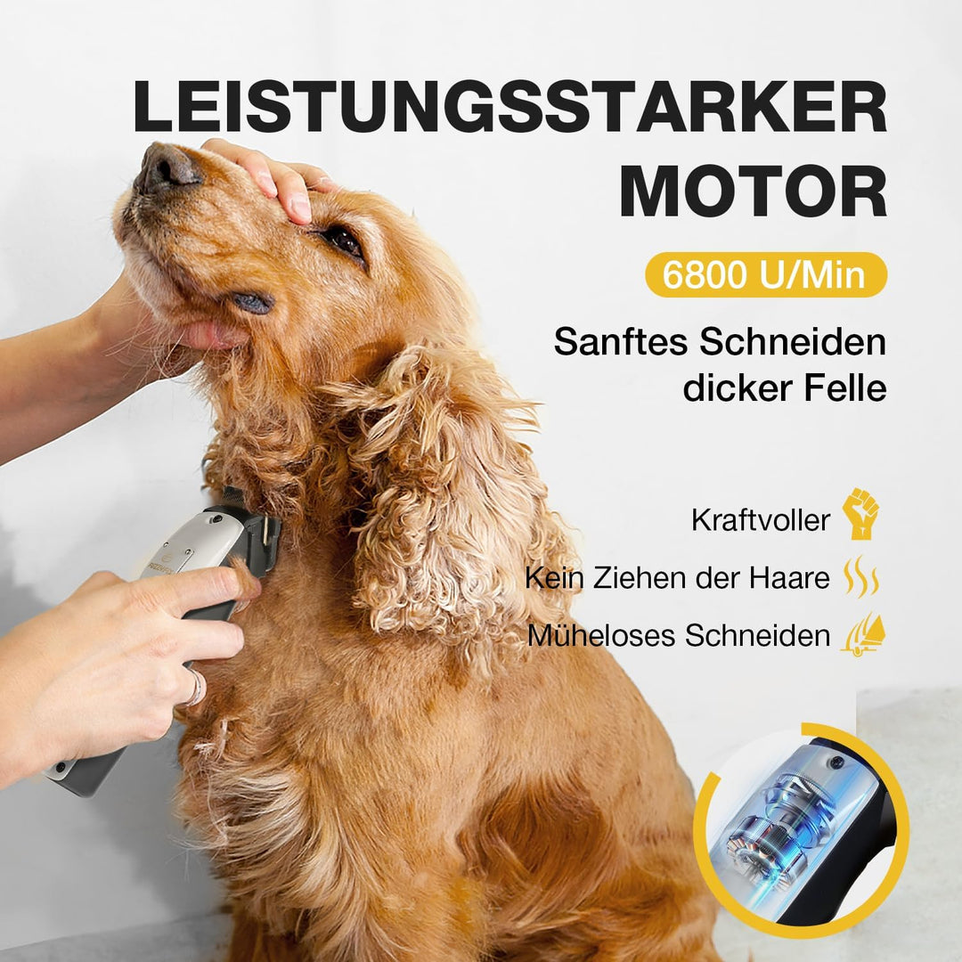 Leise Hundeschermaschine Dichtes Fell, Profi Schermaschine Hund aus Edelstahl,Professionelle Hunde H