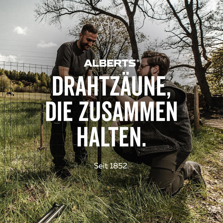 Alberts 854454 Drahtspanner | verzinkt, grün kunststoffbeschichtet | Grösse 4 | Länge 130 mm | 50er