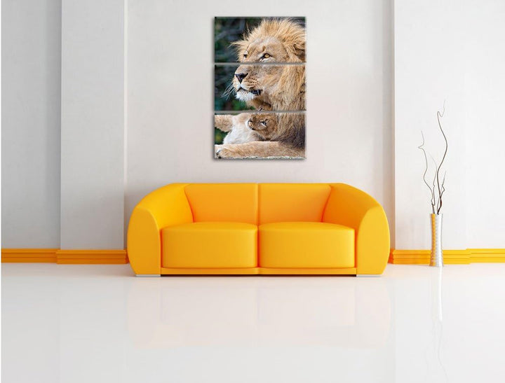 Pixxprint liebevoller Löwe mit Jungtier als Leinwandbild/Grösse: 3 Teilig (120x80) cm/Wandbild/Kunst