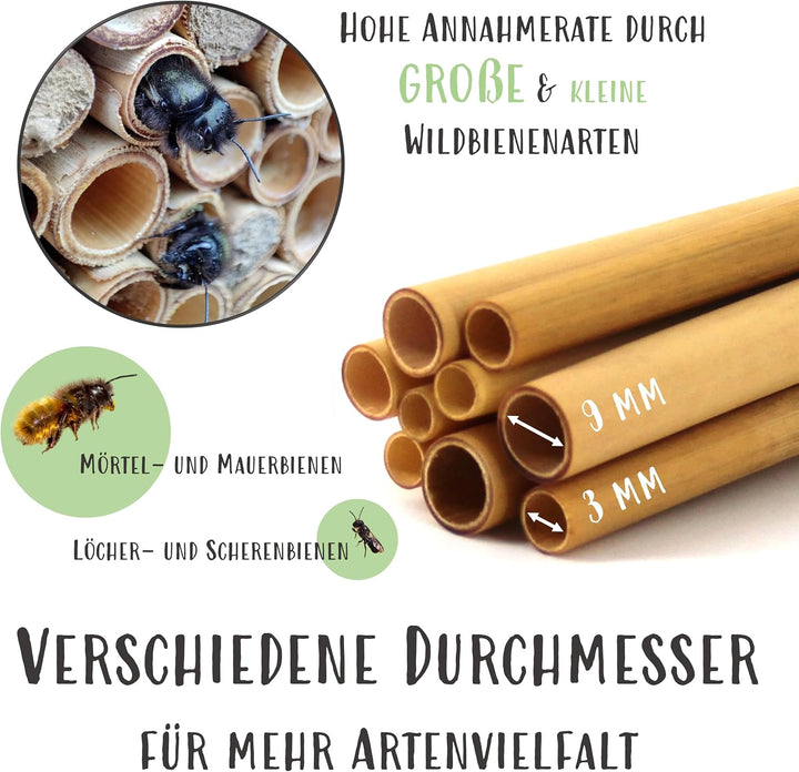 Reparaturset - Schilfröhrchen für Insektenhotels inkl. Lehmpulver, ca. 100 Stück, Länge 8 cm, Durchm
