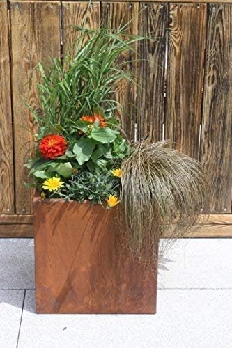 Rostikal Pflanzkübel, Pflanztrog in Edelrost zum direkt beflanzen, 38 x 38 x 38cm