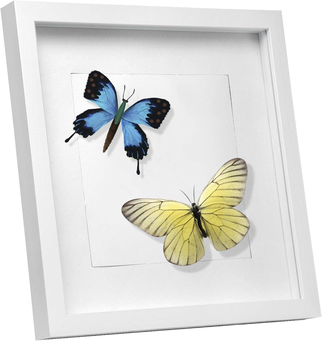 EUGAD 3D Bilderrahmen zum Befüllen, Bilderrahmen 30x30 cm, Objektrahmen, Tiefer Rahmen für Objekte b