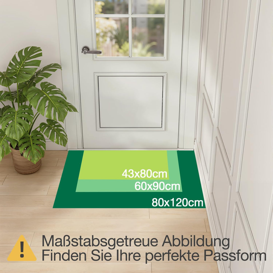 LUMI Schmutzfangmatte 80x120cm, Fussmatte Innen, rutschfest Dunkelgrau | Fängt Schmutz und Feuchtigk