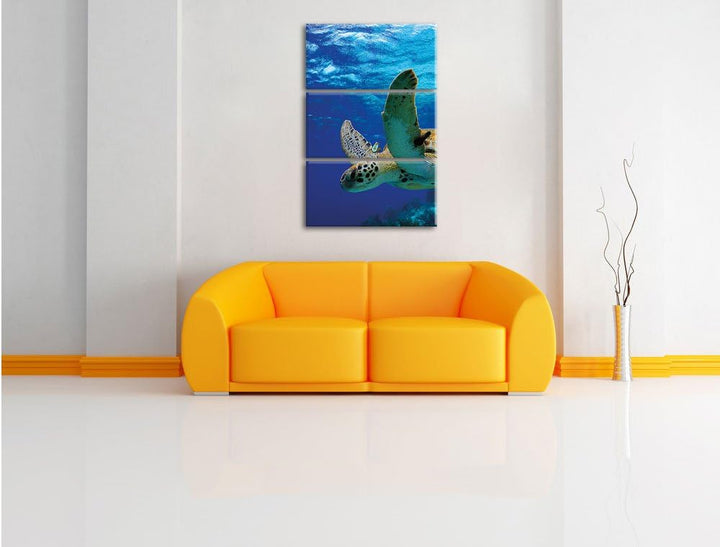 Pixxprint Schildkröte im Riff als Leinwandbild/Grösse: 3 Teilig (120x80) cm/Wandbild/Kunstdruck/fert