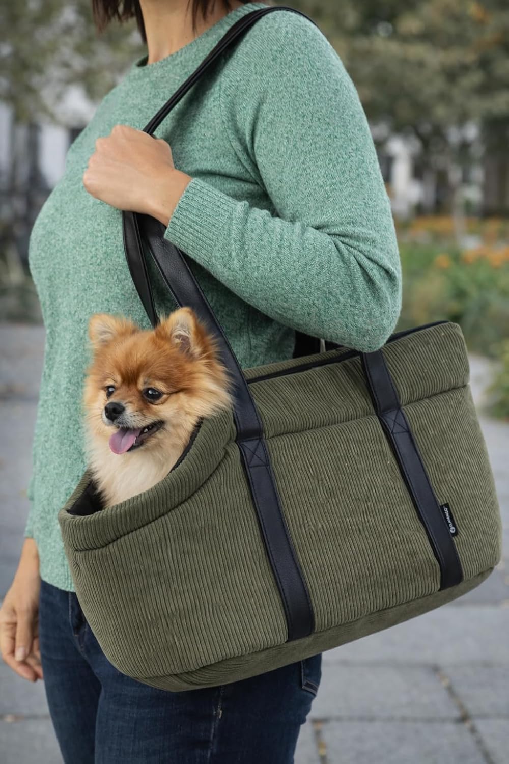 Hundetasche - Tragetasche Alessia Grün – 46x23x25cm – Polyester mit Rippcord – Öffnung Oben – heraus