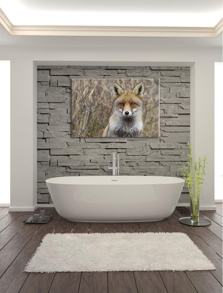 aufmerksamer Fuchs im Geäst Leinwand, XXL riesige Bilder fertig gerahmt mit Keilrahmen, Kunstdruck a