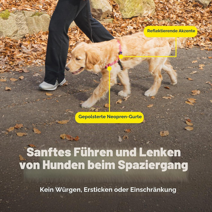 PetSafe Deluxe Easy Walk Hundegeschirr Orange/Schwarz Large, Orange/Schwarz Large