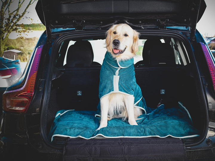 Lucky Paws® Hundehandtuch - luxuriöse 600g/m, 140x80cm XL Hundehandtuch extra saugfähig - trocknet s