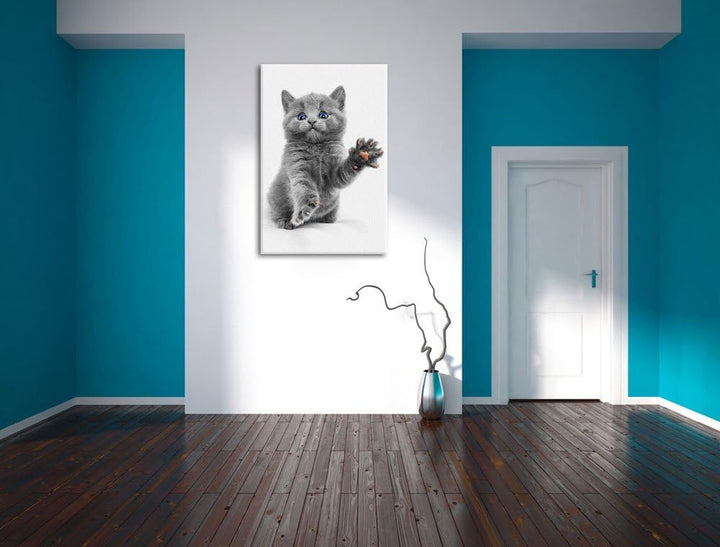 süsse kleine russisch Blau schwarz/weiss Format: 100x70 auf Leinwand, XXL riesige Bilder fertig gera