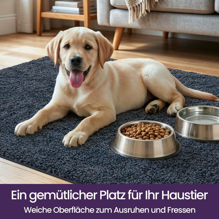 DEXI Fussmatte Innen 50 x 80 cm, rutschfeste Schmutzfangmatte, Maschinenwaschbare Fussmatte, Saugsta