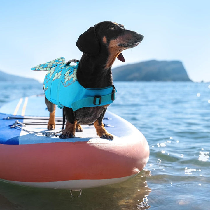 CITÉTOILE Hunde Schwimmweste Hai, Schwimmweste für Kleine Mittlere und Grosse Hunde, Hund Rettungswe