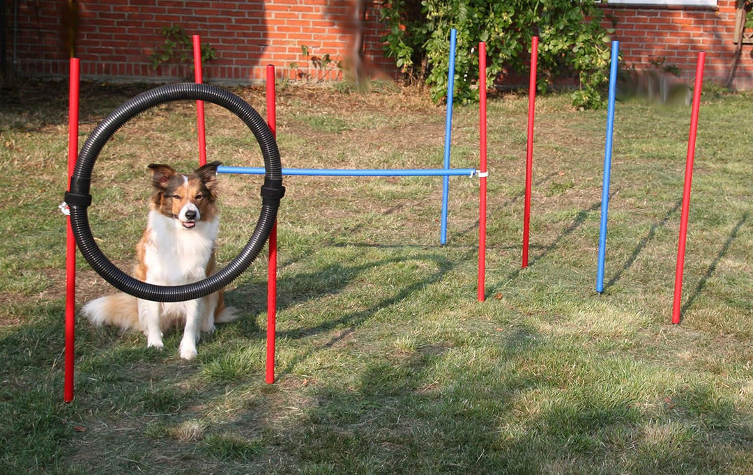 Wuzzmann Agility-Beginner-Set ROT/BLAU