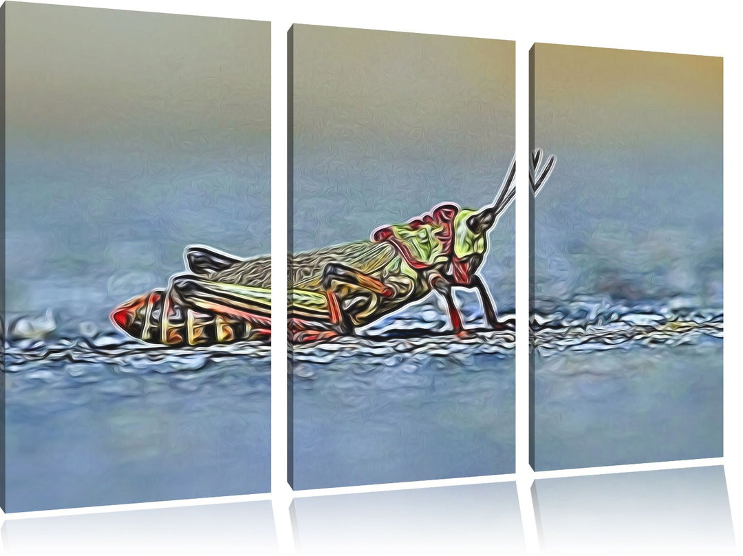 aussergewöhnliche Heuschrecke NewArt 3-Teiler Leinwandbild 120x80 Bild auf Leinwand, XXL riesige Bil
