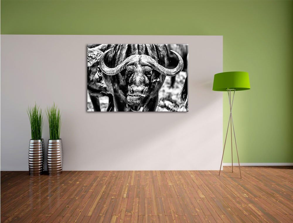 Pixxprint Monocrome, Wasserbüffel Schwarz/weiss, Format: 100x70 auf Leinwand, 100x70